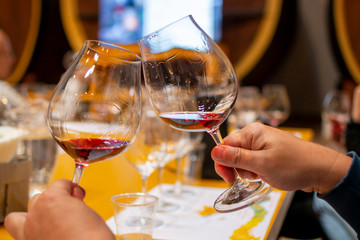 Professional wine tasting, sommelier course, looking at red dry wine in wine glass