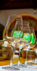 Professional wine tasting, sommelier course, clean empty wine glasses for different wines