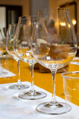 Professional wine tasting, sommelier course, clean empty wine glasses for different wines
