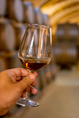 Tasting of fortified dry or sweet marsala wine in vintage wine cellar with old oak barrels in Marsala, Sicily, Italy