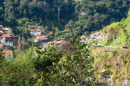 Levada dos Marocos also known as the Mimosa valley near Machico on the Island of Madeira. Leavdas are irrigation channels specific to the island.