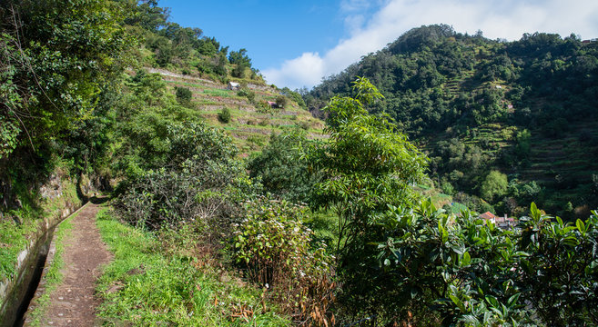 Levada dos Marocos also known as the Mimosa valley near Machico on the Island of Madeira. Leavdas are irrigation channels specific to the island.