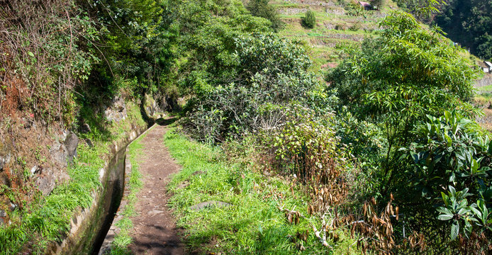Levada dos Marocos also known as the Mimosa valley near Machico on the Island of Madeira. Leavdas are irrigation channels specific to the island.