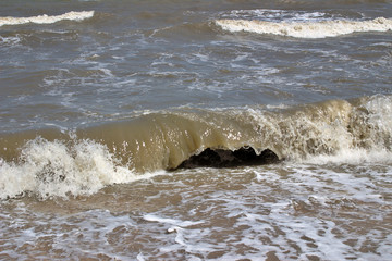 sea waves near the shore