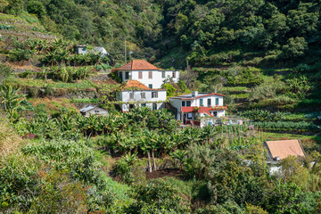 Levada dos Marocos also known as the Mimosa valley near Machico on the Island of Madeira. Leavdas are irrigation channels specific to the island.