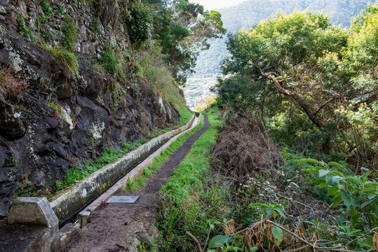 Levada dos Marocos also known as the Mimosa valley near Machico on the Island of Madeira. Leavdas are irrigation channels specific to the island.