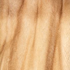 The texture of natural spotted red and beige and brown fur with beautiful folds