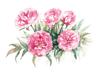 Walter Faxon Peony. Bouqet of vivid pink peonies with double flowers. Watercolor illustration.