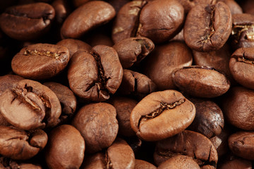 Isolated coffee bean. closeup photo. Top view. Roasted coffee beans background