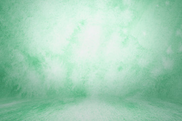 photo backdrop green, studio background for photos. Studio Portrait Backdrops Photo wall and floor...