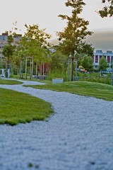 curved path in the park