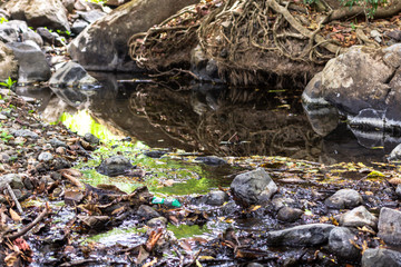 Small river, Guanacaste, Costa Rica.