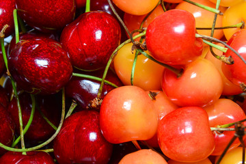 Fresh cherry of two varieties as an abstract background. The concept of a healthy diet, vitamins.