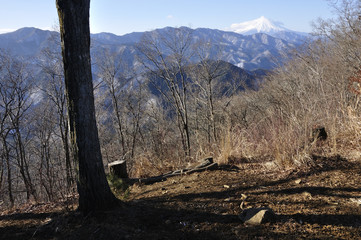倉岳山山頂より望む富士山