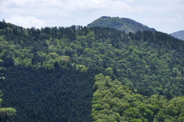 Fototapeta premium 菊花山より新緑の九鬼山