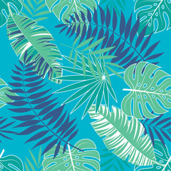 Fototapeta na wymiar tropical summer pattern with light blue background