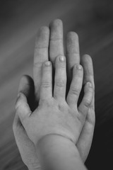 Fototapeta premium Mother's and child's hands black and white