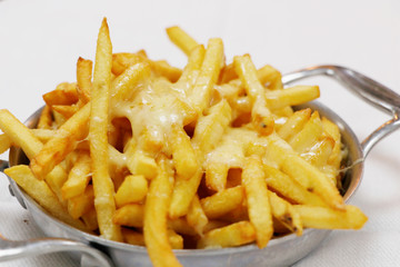 cheesy french fries in a metal bowl with white background