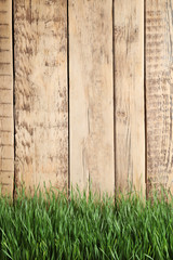 Fresh green grass near wooden fence. Space for text