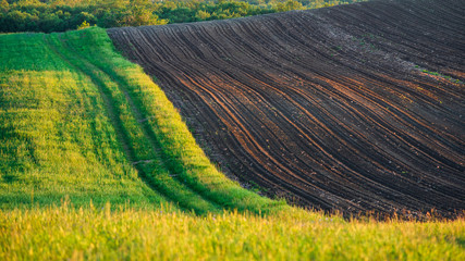 Farm land with path and wheat fields