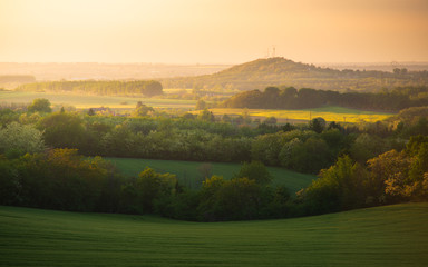 Obraz premium Panorama of the beautiful sunset in Hungary. Green wide meadows with wheat, grass and colorful sunset lights
