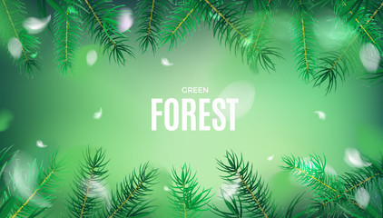 Green nature abstract panoramic background with fir tree leaves vector banner design
