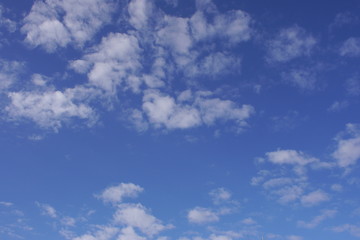sub tropical sky back ground