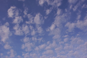 sub tropical sky back ground