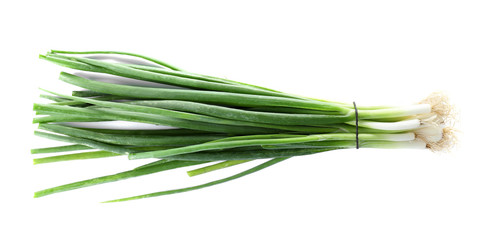 Bunch of fresh green onions on white background