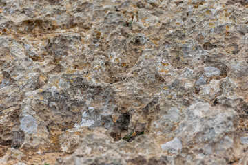 The surface of the dry stone by the sea.