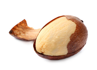 Beautiful avocado stone in shell on white background