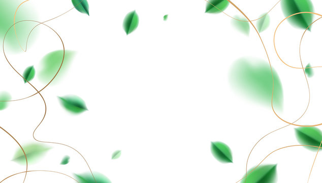 White luxury abstract background with flying green spring leaves and golden frame decoration vector design