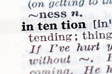 Definition of word intention