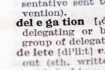 Definition of word delegation