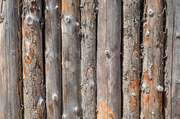 Background of the old birch logs. Wooden texture with copy space