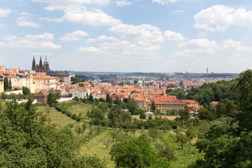 Fototapeta na wymiar Summer Prague City with gothic Castle and the green Nature from the Hill Petrin, Czech Republic