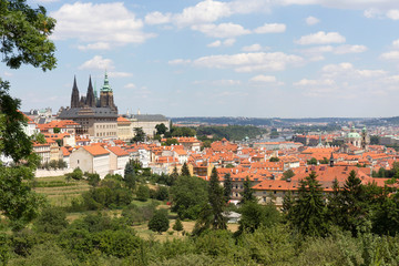 Summer Prague City with gothic Castle and the green Nature  from the Hill Petrin, Czech Republic