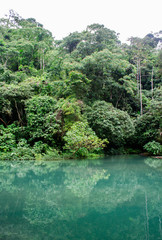 jungle water green peru river waterfall travel vacations trip