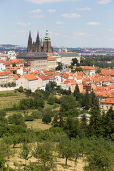 Naklejka premium Summer Prague City with gothic Castle and the green Nature from the Hill Petrin, Czech Republic