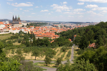 Fototapeta na wymiar Summer Prague City with gothic Castle and the green Nature from the Hill Petrin, Czech Republic