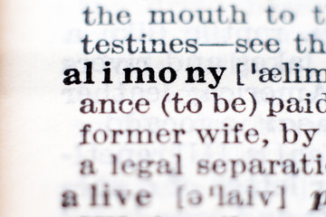 Definition of word alimony