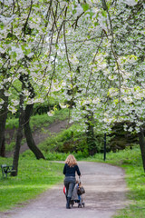 women walking  in a park pushing a stroller