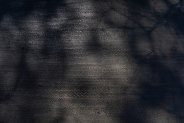 Dirt track with bicycle tire marks and spots of light and shade