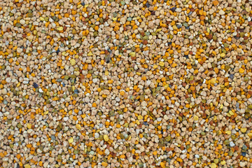 Pollen grains in close-up for a textured golden background