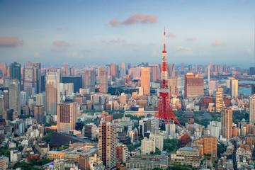 Obraz premium Tokyo city skyline with Tokyo Tower, Tokyo Japan