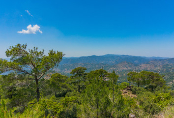 Fototapeta na wymiar Cedar and beautiful view of the Troodos Mountains, Cyprus. Sunny summer day.