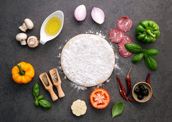 Fototapeta na wymiar The ingredients for homemade pizza on dark stone background.