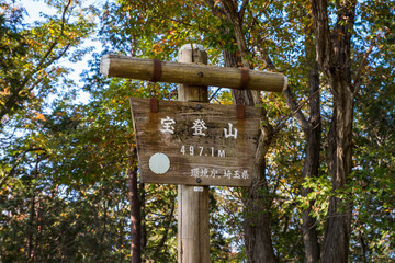 宝登山山頂の山頂標