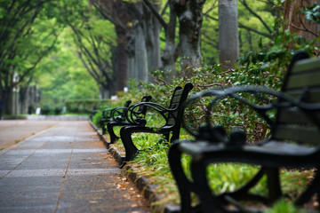 雨の靭公園