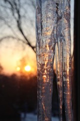 Icy Sunrise